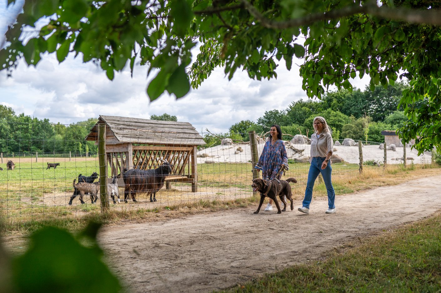 Tierpark Arche Warder