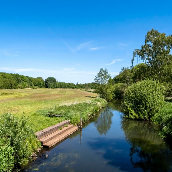 Idyllische grüne Flusslandschaft in Arpsdorf im Amt Mittelholstein