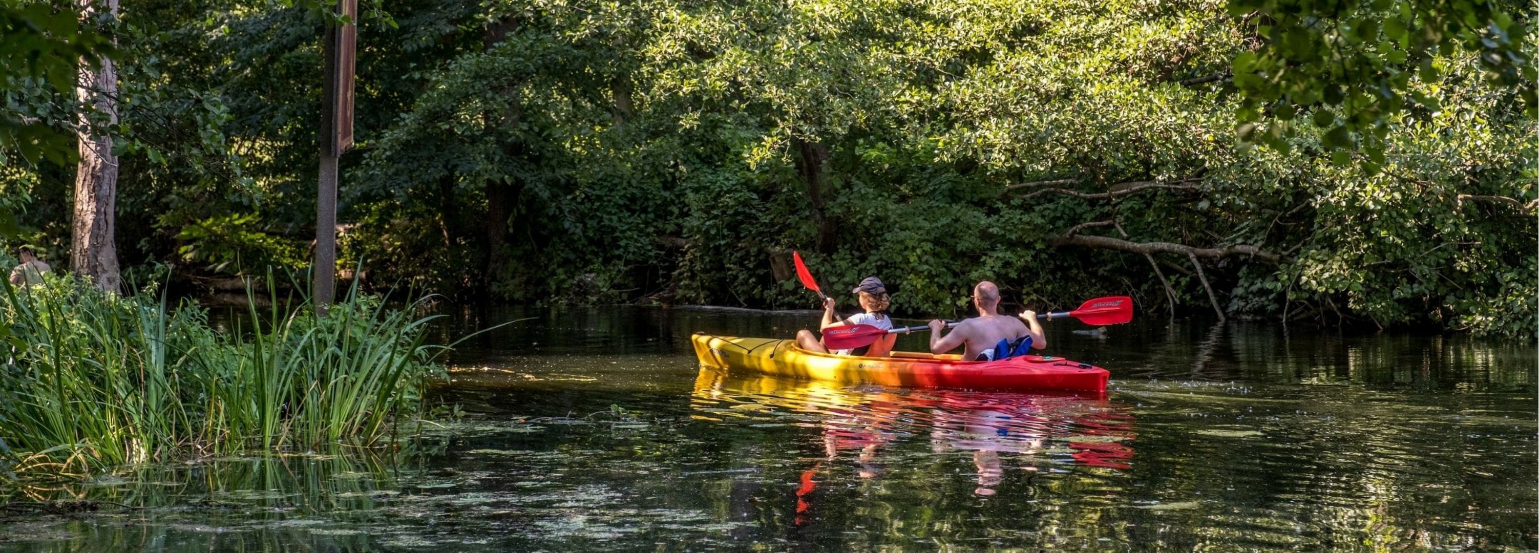 Ein Paar fährt Kanu auf der Eider im Naturpark Westensee