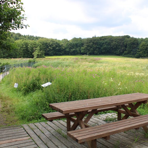 Wandertouren (© mht.sh) Rastplatz im Grünen