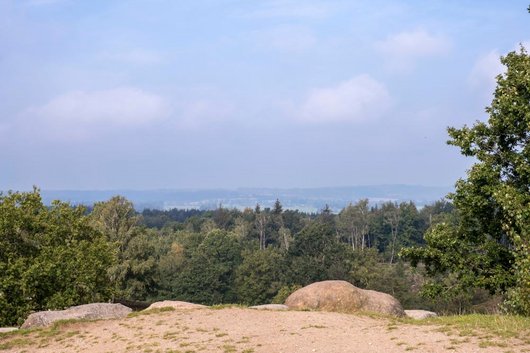 Aussichtspunkt Naturpark Aukrug Aussichtserlebnis Landschaft Natur