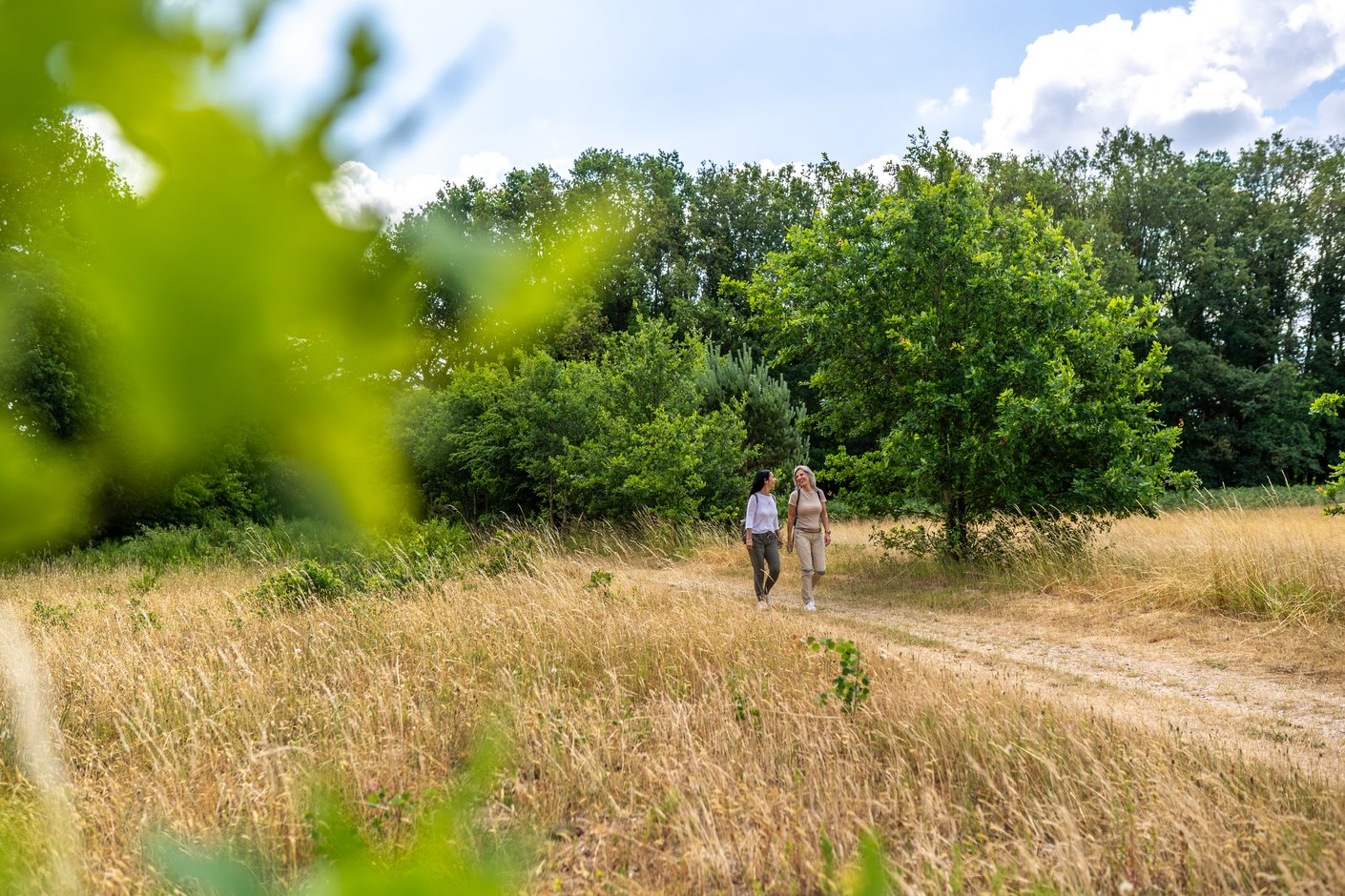 Naturpark Wanderweg