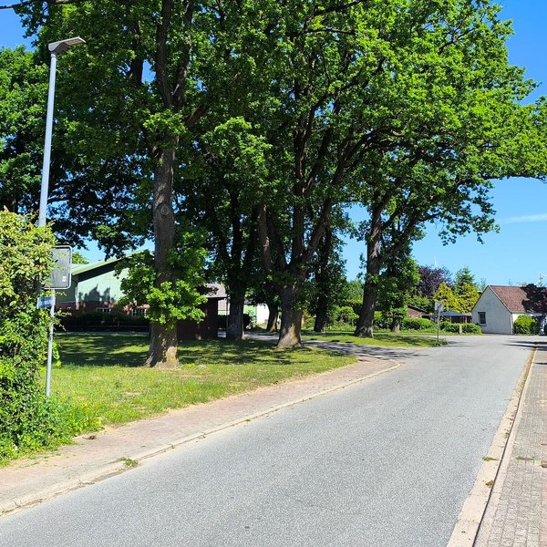 Eine Straße führt durch den Ortskern der Gemeinde Seefeld Amt Mittelholstein