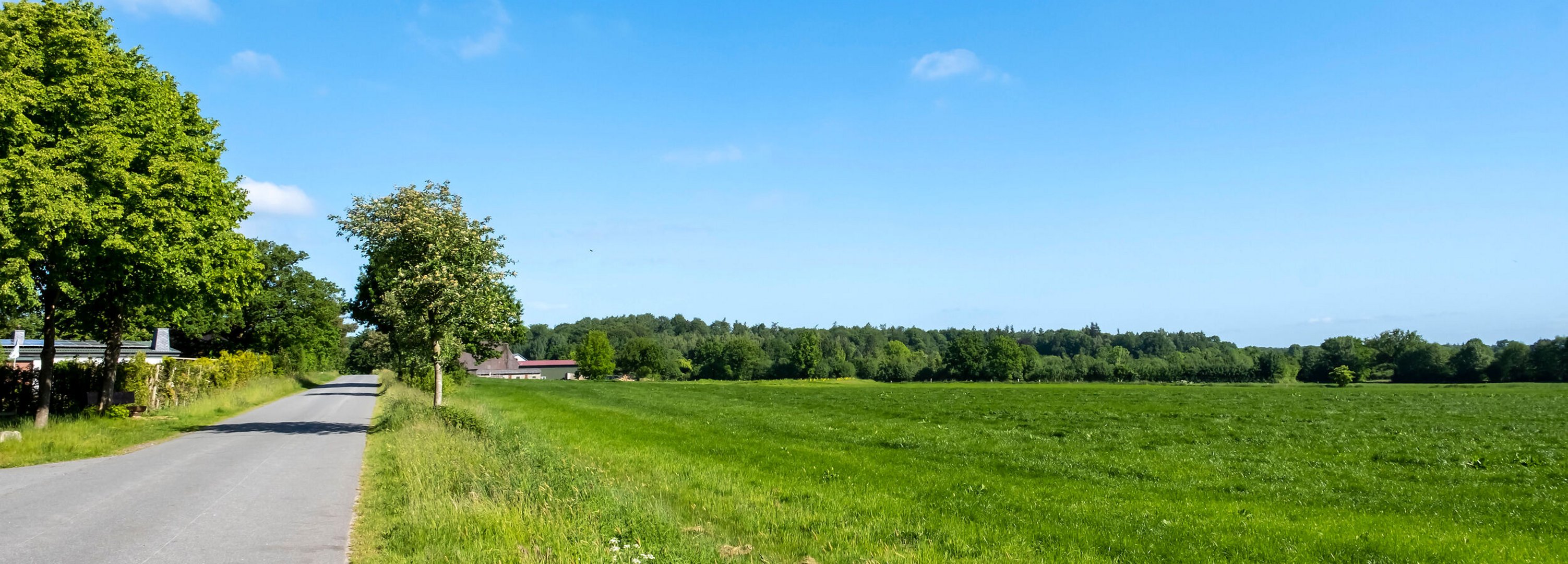 Straße durch eine grüne Feld-Landschaft in der Gemeinde Ninborstel