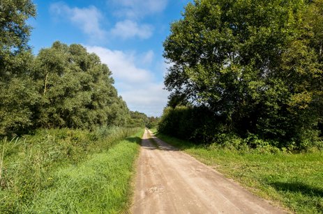 2021-haale-17
