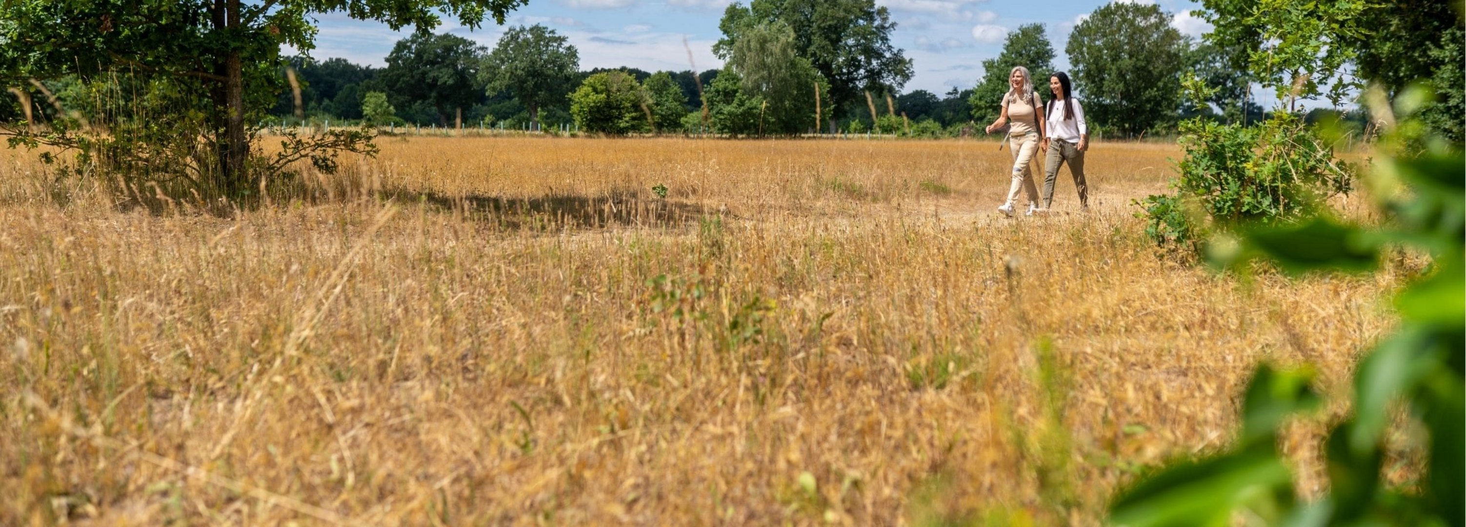 Zwei Freundinnen spazieren durch Felder und Wiesen auf dem Naturparkwanderweg