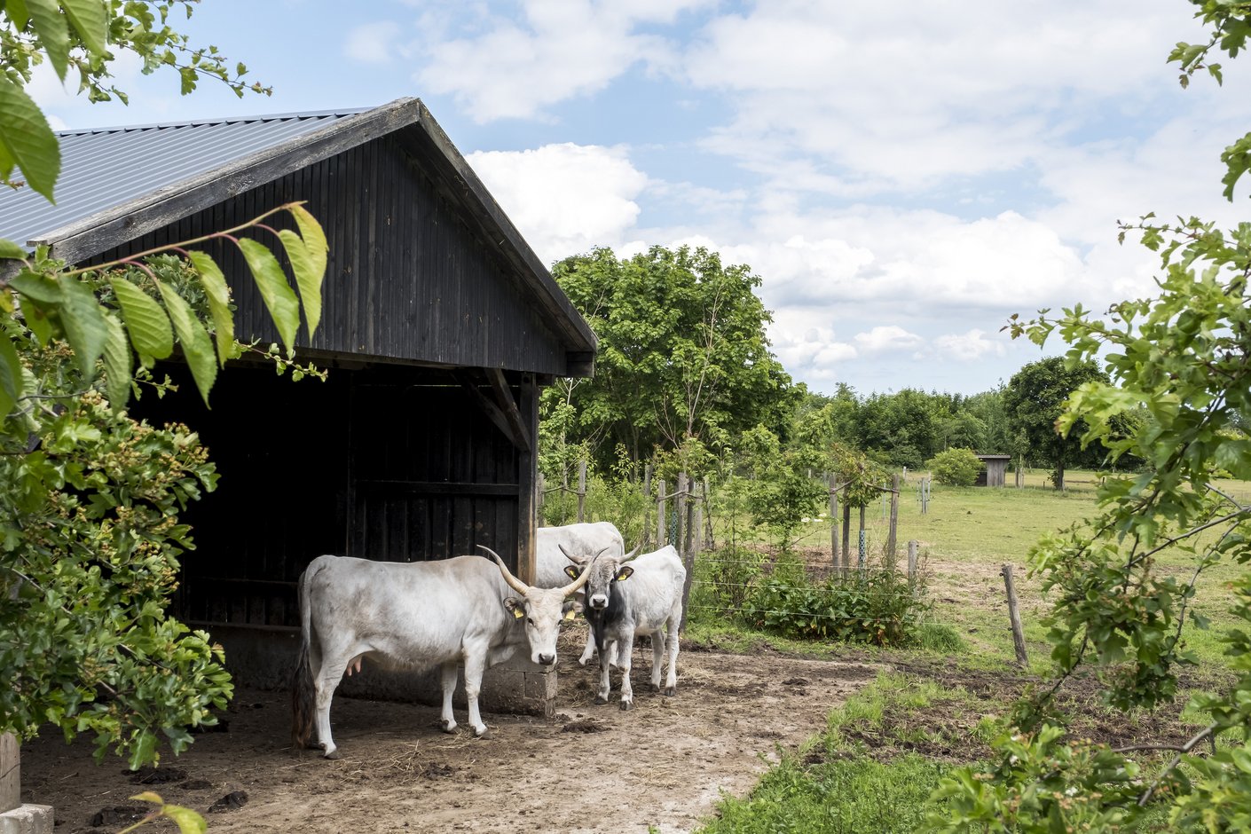 Tierpark Arche Warder_36