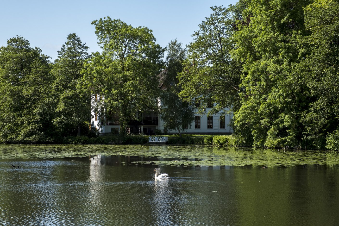 Mühlenteich Hanerau-Hademarschen_4