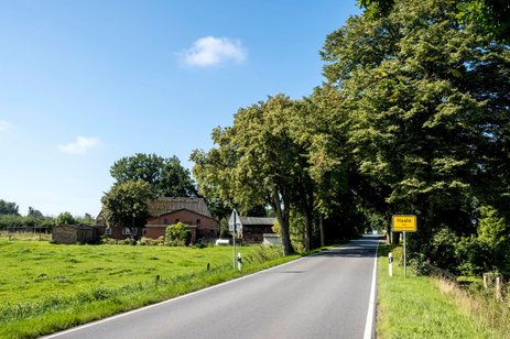 2021-haale-45