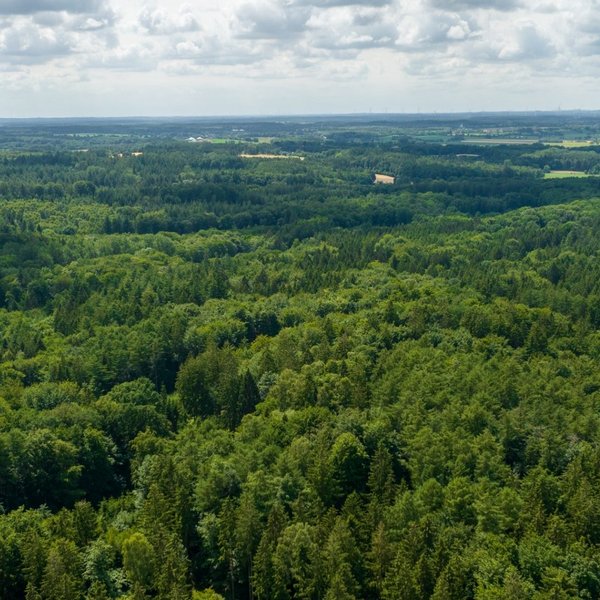 Naturpark Aukrug (© sh-tourismus.de / MOCANOX) Luftaufnahme von den Wäldern im Naturpark Aukrug