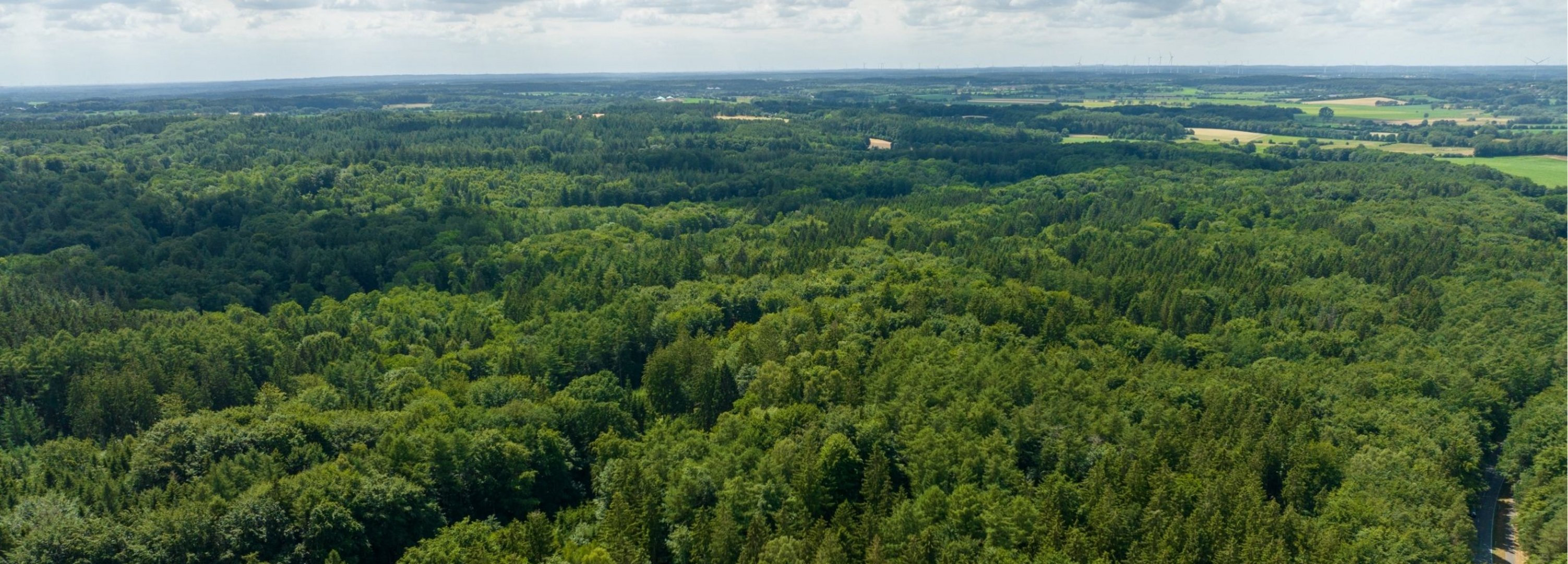 Luftaufnahme von den Wäldern im Naturpark Aukrug