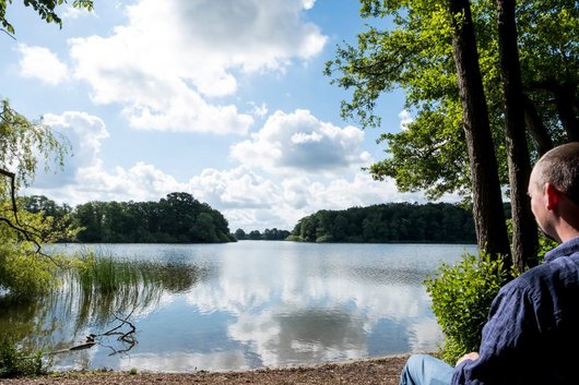Aussichtspunkt auf die Klosterinsel Bordesholmer See Bordesholm Kultur Natur Mittelholstein