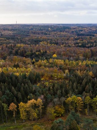 Aukruger Land (© Mittelholstein_MOCANOX) Der Boxberg im Naturpark Aukrug ist ein beliebtes Ausflugsziel