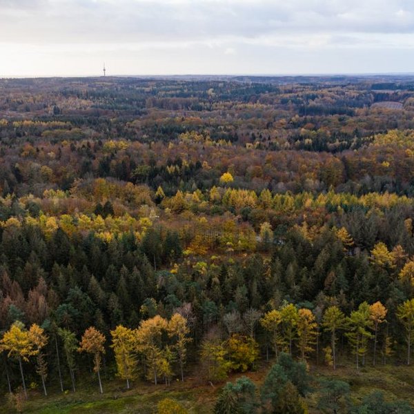 Aukruger Land (© Mittelholstein_MOCANOX) Der Boxberg im Naturpark Aukrug ist ein beliebtes Ausflugsziel