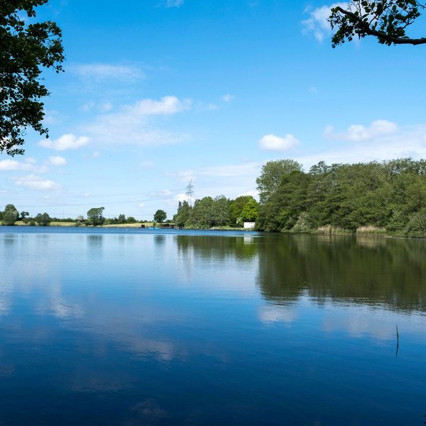 Idyllischer See in der Natur