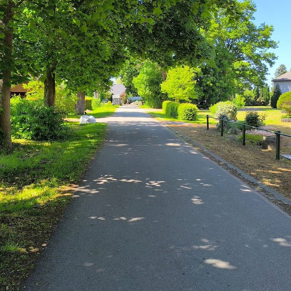 Ruhige grüne Straße Gemeinde Wapelfeld Amt Mittelholstein