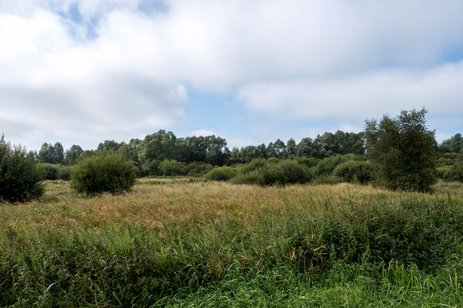 2021-haale-09