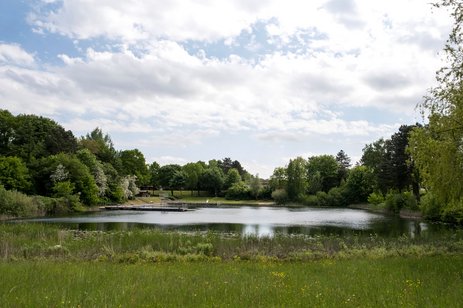 Naturbad Westerrönfeld Baden am NOK Mittelholstein