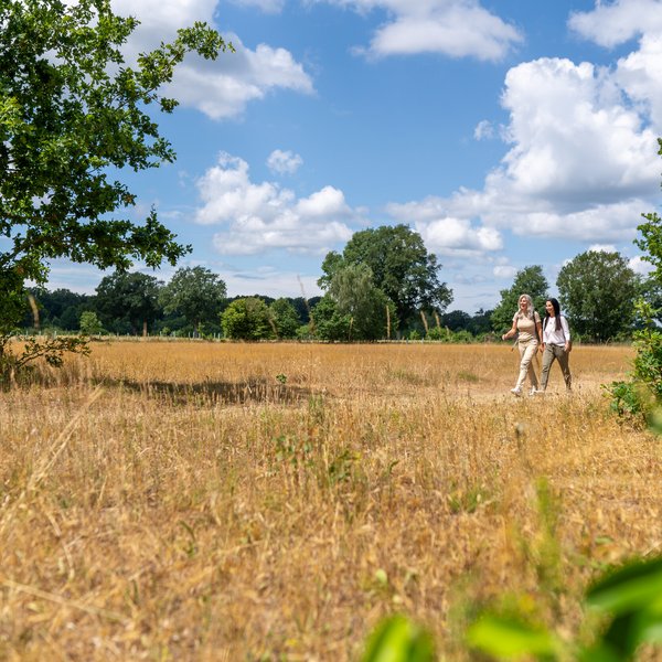 Zwei Frauen Wandern in idyllischer Natur bei blauem Himmel durch den Naturpark Aukrug. 