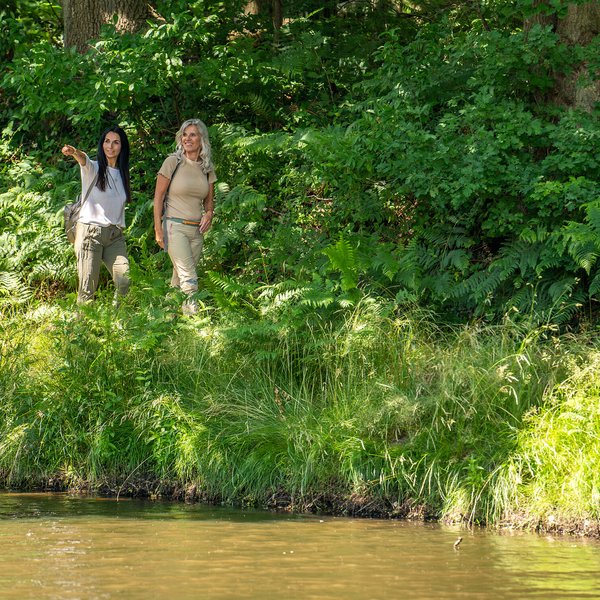 Wandertouren (© sh-tourismus.de/MOCANOX) Zwei Frauen wandern durch grüne Landschaft entlang eines Gewässers.