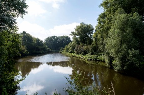 2021-haale-28