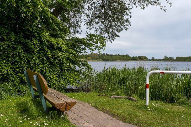Eine Holzbank steht am Ufer des Armensees in Fockbek, umgeben von grünen Bäumen und Schilf. Der Himmel ist bewölkt.
