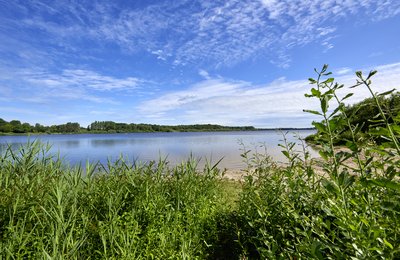 Badestelle in Emkendorf am Dörpsee