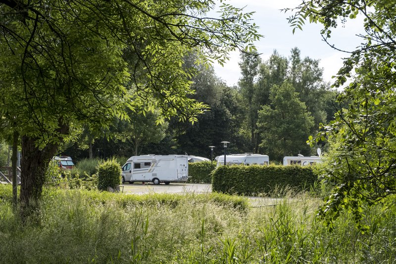 Wohnmobile auf einem Stellplatz umgeben von Bäumen und Büschen.