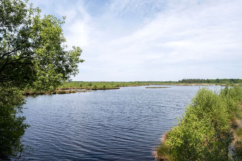 Angelstelle am Fockbeker See